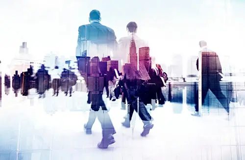 wholesalers